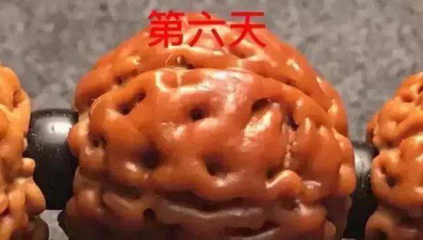 金刚菩提的正确盘玩法