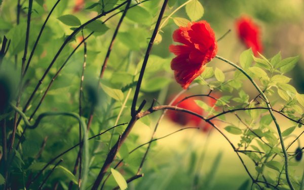 女生说胃疼高情商回复