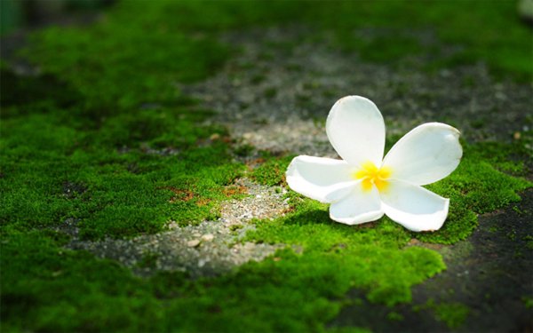 女生说胃疼高情商回复