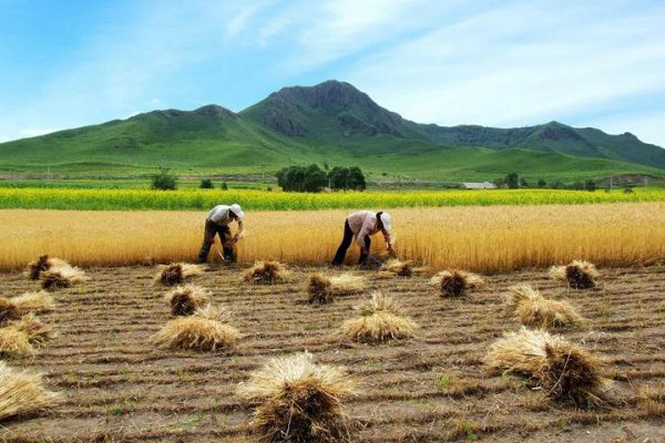 户口本上的籍贯重要吗