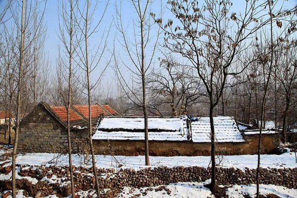 户口本上的籍贯重要吗