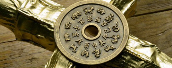 什么属相不能养富贵竹的人