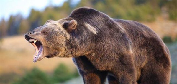 各个国家的国宝有哪些