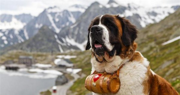 各个国家的国宝有哪些