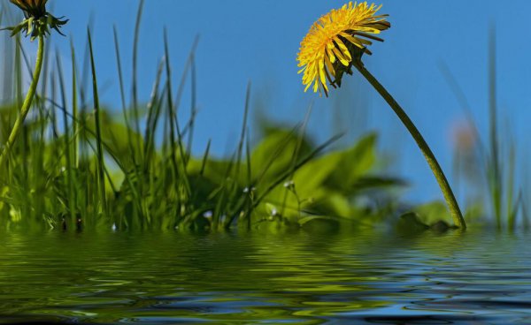 天蝎座的终身贵人是谁