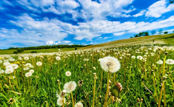 天蝎座的终身贵人是谁