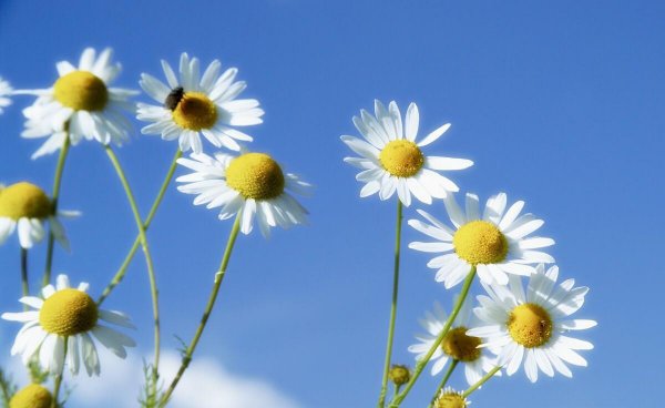 天蝎座的终身贵人是谁