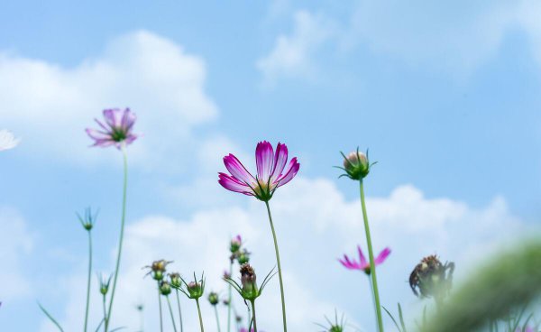 天蝎座的终身贵人是谁