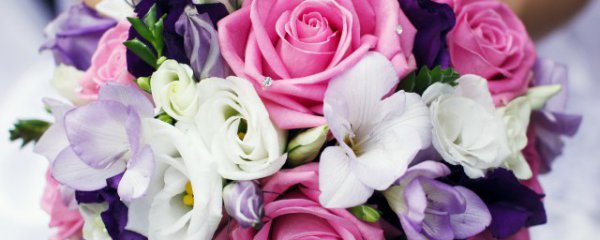 妈妈生病适合送什么花束