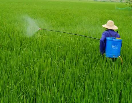 喷洒农药的正确方法