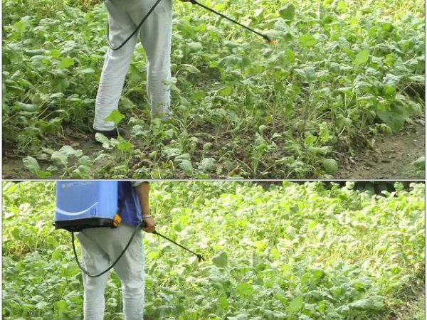 喷洒农药的正确方法