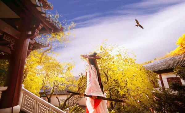 好看的武侠小说书单推荐