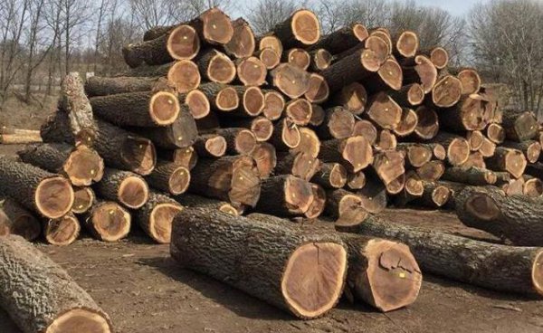 北美黑胡桃木家具的优缺点