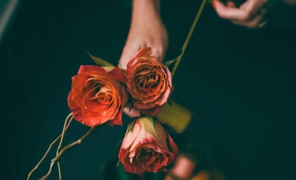 白羊座命中注定的夫妻