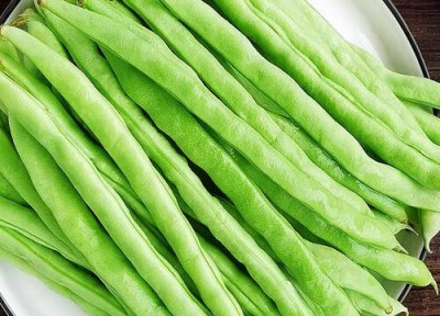 豆角种植技术 豆角种植技术与管理