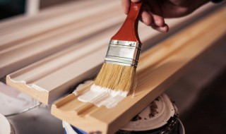 三棵树墙漆8小时可以入住吗 三棵树墙漆8小时能入住吗