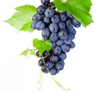 初秋吃葡萄的这些好处 别说我没告诉你