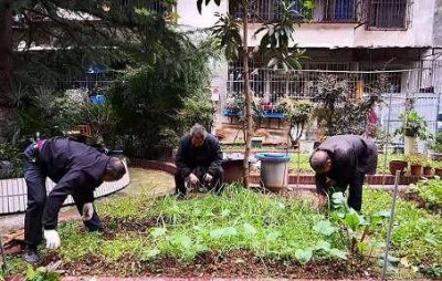 住宅小区里面能种菜吗 小区住户在空地种菜违反规定吗