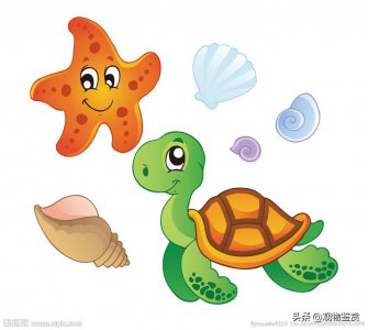 乌龟壳上的彩绘怎么去掉 彩绘涂料对于乌龟有害吗