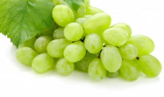 葡萄能不能和牛奶一起吃 葡萄和牛奶可以同吃吗