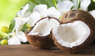 羊肉和椰子能一起吃吗 羊肉和椰子可以一起吃吗