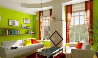 客厅摆放物品禁忌 客厅摆放物品的讲究