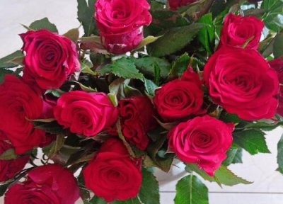 玫瑰代表什么象征意义 象征着什么品质