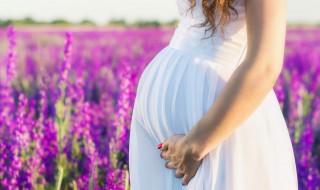 孕妇梦见黑猫是什么意思 孕妇梦见黑猫有什么预示呢