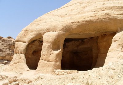 什么动物最怕水 自然界里面什么小动物不敢去碰水