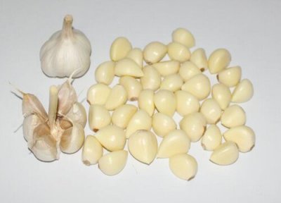 蒜亩产量多少斤 大蒜每亩产量多少公斤