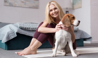 房间都是狗臭怎么去除 房间都是狗臭的去除方法介绍