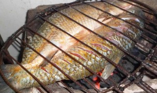 家庭自制烤鱼怎么腌制方法 家庭版秘制烤鱼的做法