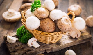 东北榛蘑干货挑选技巧 东北榛蘑干货挑选方法