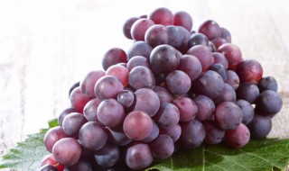 春天什么地方适合种植葡萄 葡萄适合哪里种植