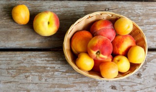 桃子树苗什么季节种植合适 桃子树苗的合适种植时间