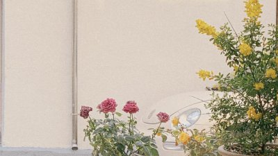 天秤座喜欢一个人的表现超准 天秤座对女生动心细节准到爆