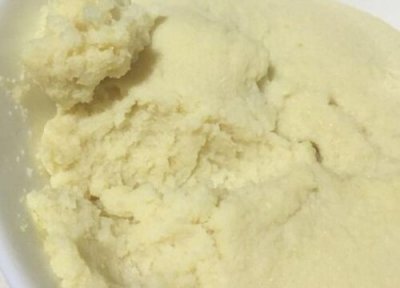 茉莉花养护技巧 茉莉花如何养护花开不断