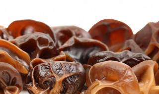 胡萝卜木耳能一起吃吗 胡萝卜和木耳可以一起吃吗