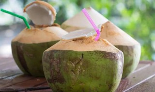 怎么判断椰汁新鲜不新鲜 如何判断椰汁新鲜不新鲜