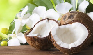椰子果肉怎么吃才好吃 椰子肉如何吃美味