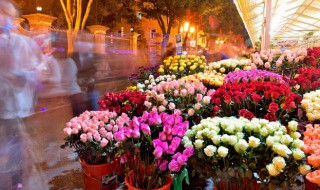 为什么过年要摆花花草草 过年为何要买花