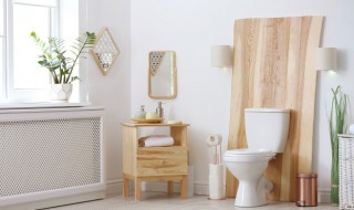 卫生间吊顶用什么材料好 厕所吊顶用什么材料好