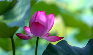 什么时候进二伏天 二伏天从什么时候开始