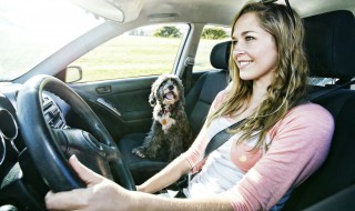 车垫什么材质好 车垫选哪种材质比较好