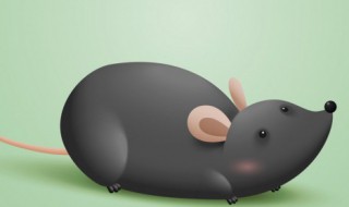 属鼠佩戴什么生肖好 属鼠生肖的佩戴哪种生肖好