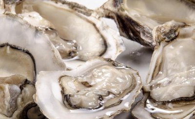 生蚝什么季节最肥最好吃 什么时候是吃生蚝最佳季节