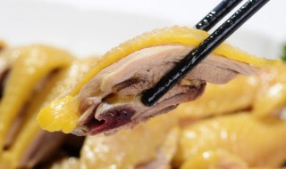 白切鸡是哪里的菜 白切鸡是什么地方的菜