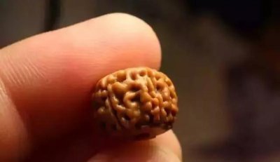 金刚菩提的正确盘玩法 金刚菩提怎么盘玩才是正确的