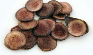 吃鹿茸有哪些禁忌 鹿茸的食用禁忌介绍