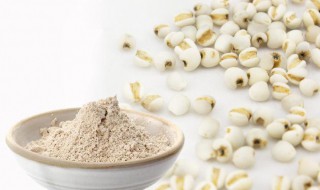 吃薏米粉的好处和坏处 吃薏米粉对身体有哪些益处和副作用呢